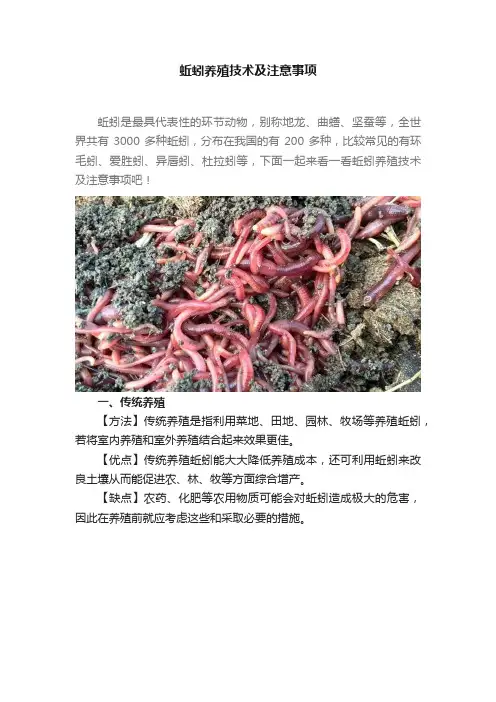 蚯蚓养殖技术及注意事项