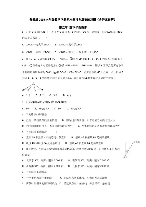 鲁教版2019六年级数学下册期末复习各章节练习题(含答案详解)