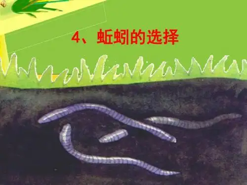五年级上册科学蚯蚓的选择 教科版 (9)