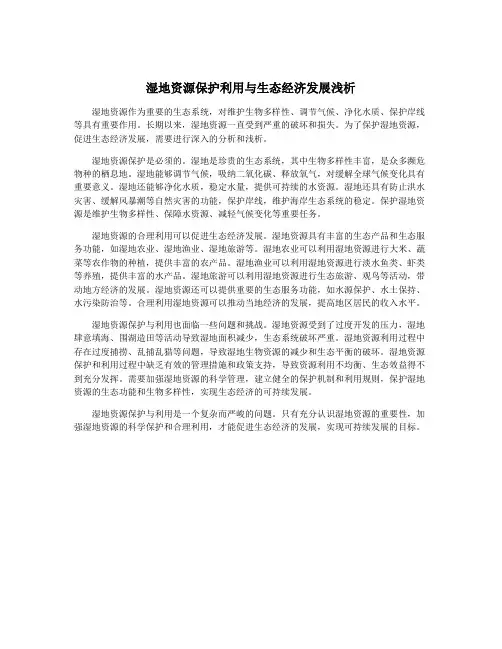 湿地资源保护利用与生态经济发展浅析