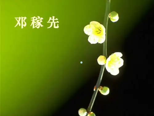 人教版七年级下第3单元邓稼先ppt课件