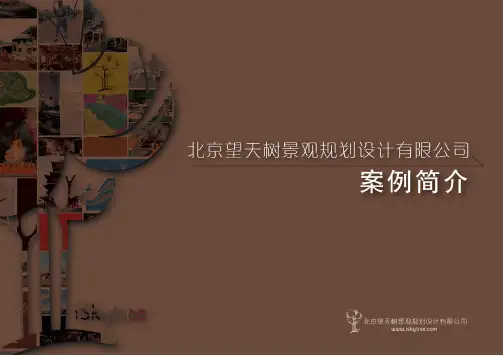 北京望天树景观规划设计 项目案例