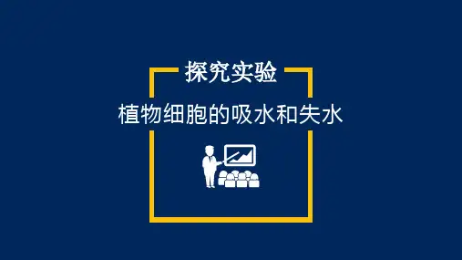 探究植物细胞吸水和失水实验说课PPT优质课件(24张)可编辑全文