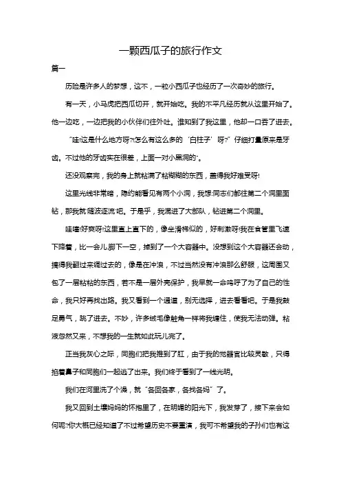 一颗西瓜子的旅行作文