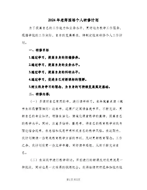 2024年老师国培个人研修计划(三篇)