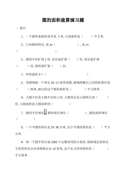 圆的面积计算 练习题 (1)