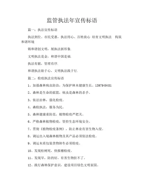 监管执法年宣传标语
