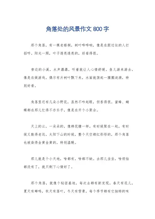 角落处的风景作文800字