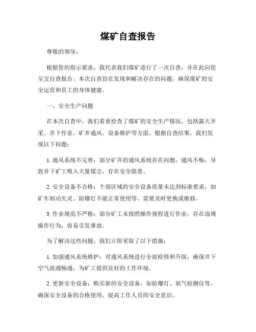 煤矿自查报告