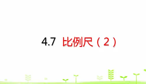 【西师大版教材】比例完美教学PPT2