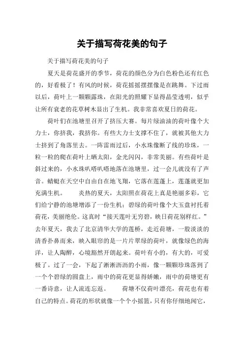 关于描写荷花美的句子