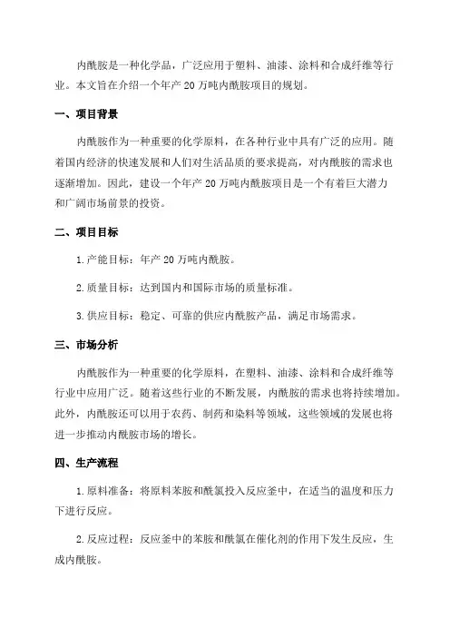 年产20万吨已内酰胺项目规划