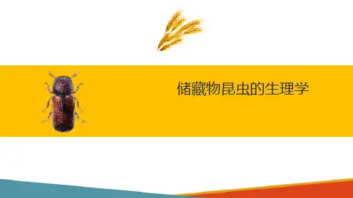 储藏物昆虫的生理学—体腔与各器官的相互位置