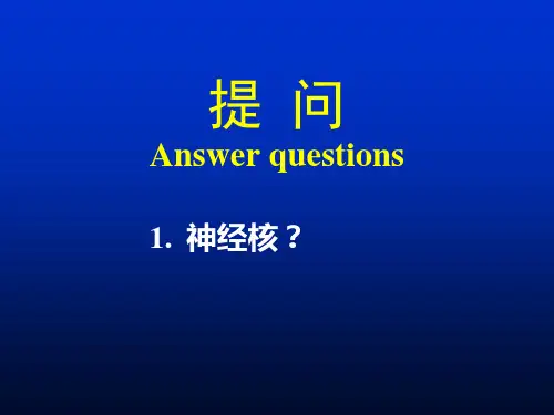 人体解剖学：14脑干小脑