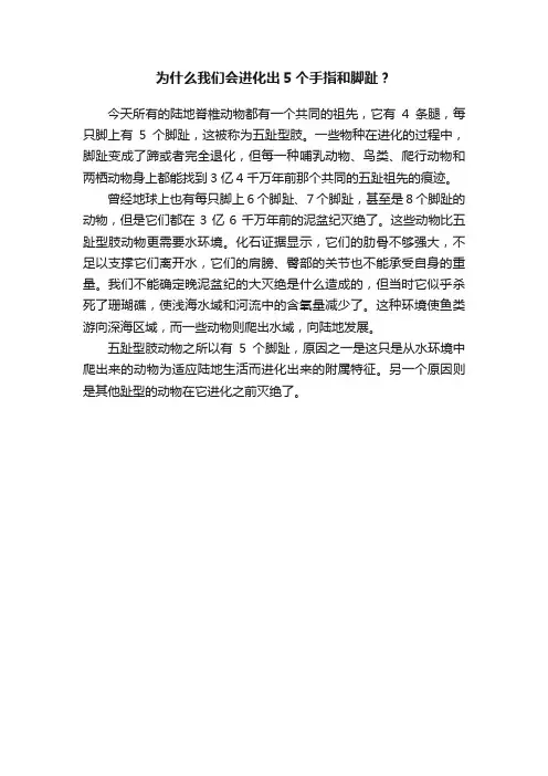 为什么我们会进化出5个手指和脚趾？
