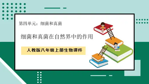 细菌和真菌在自然界中的作用八年级生物上册优质课件