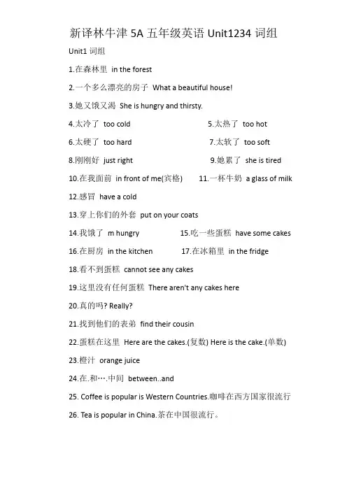 牛津新译林5A五年级上册英语Unit1234重点词组