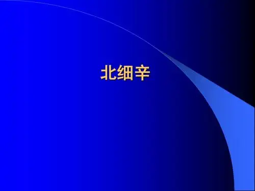 北细辛