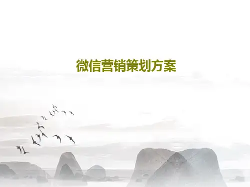 微信营销策划方案PPT17页