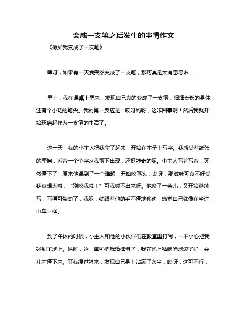 变成一支笔之后发生的事情作文