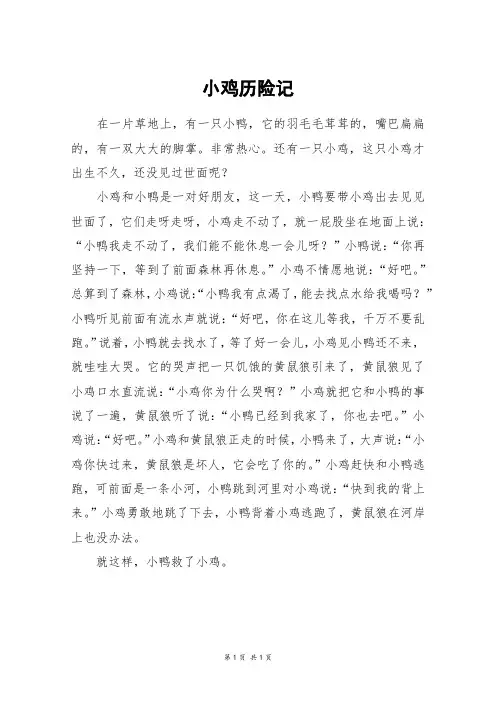 小鸡历险记_四年级作文