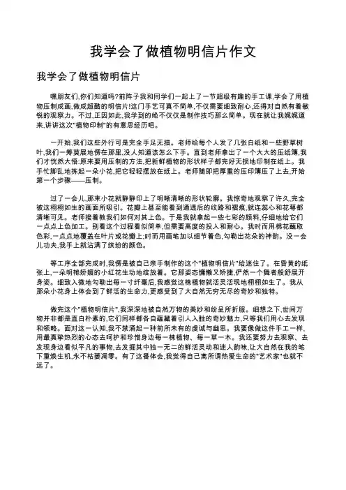 我学会了做植物明信片作文