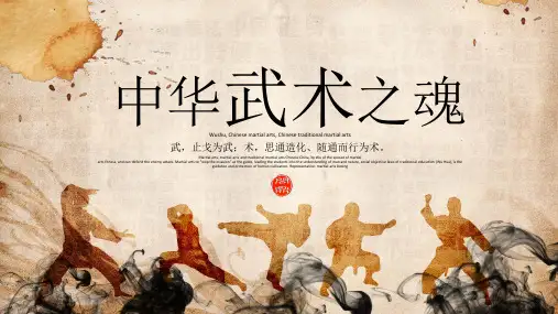 中华武术之魂