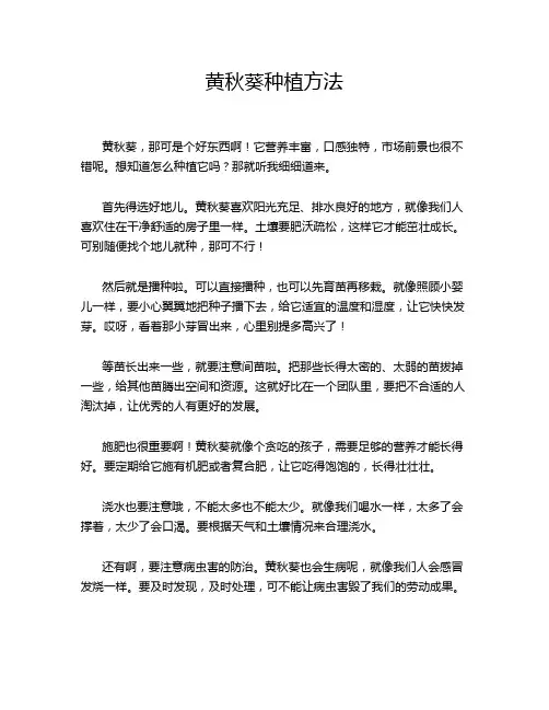 黄秋葵种植方法
