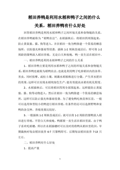 稻田养鸭是利用水稻和鸭子之间的什么关系,稻田养鸭有什么好处