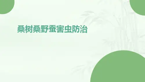 桑树桑野蚕害虫防治
