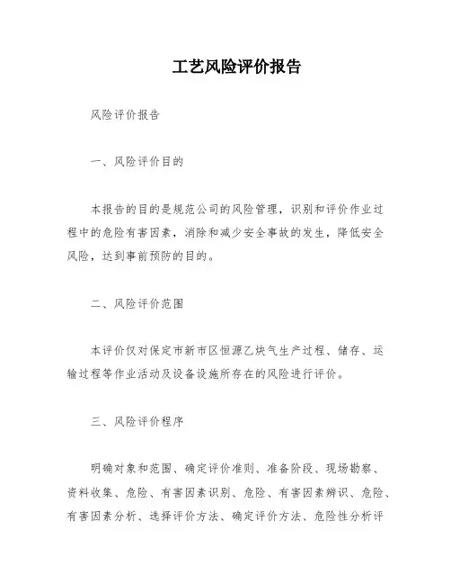 工艺风险评价报告