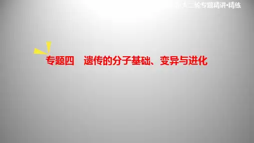 高考二轮复习：遗传的分子基础、变异与进化