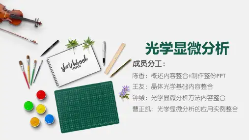 光学显微分析