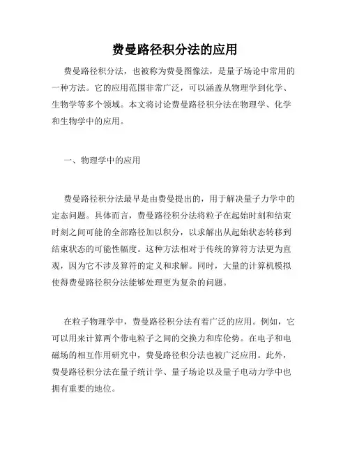 费曼路径积分法的应用