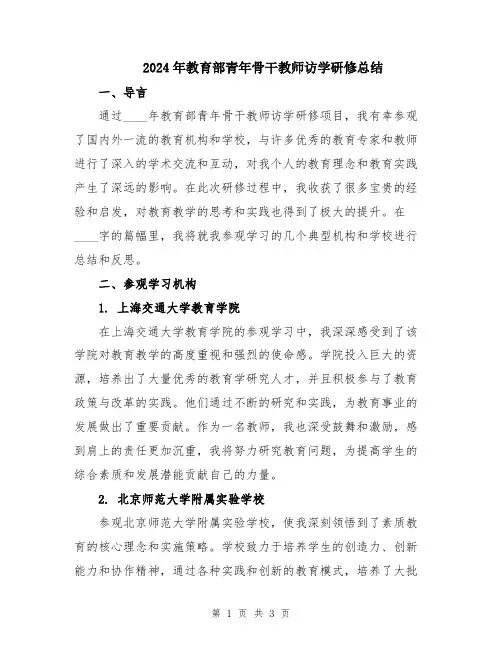 2024年教育部青年骨干教师访学研修总结