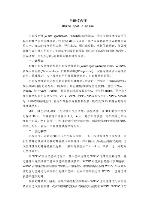 2白斑综合征