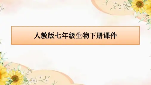 2023-2024学年级人教版七年级生物下册课件第一章第一节 人类的起源和发展