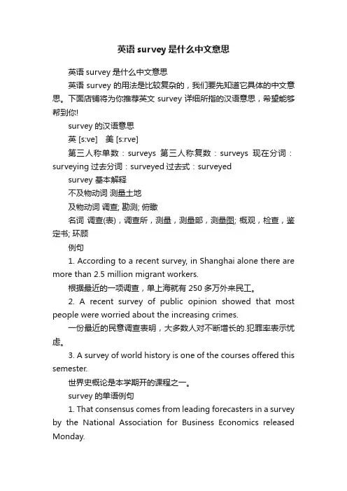 英语survey是什么中文意思