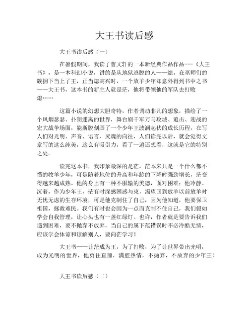 大王书读后感