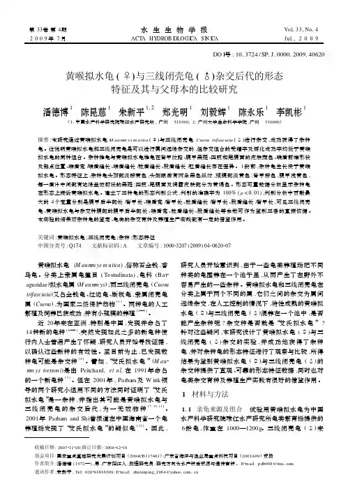 黄喉拟水龟与三线闭壳龟杂交后代的形态特征及其-水生生物学报