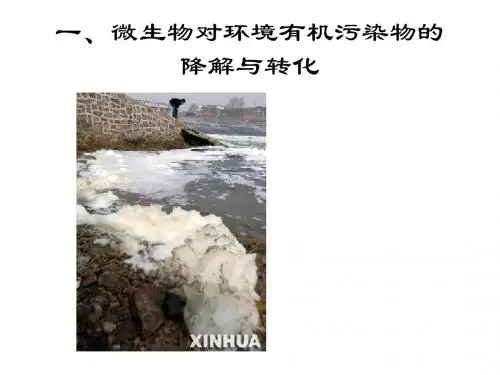 08年五、微生物对污染物的降解与分化