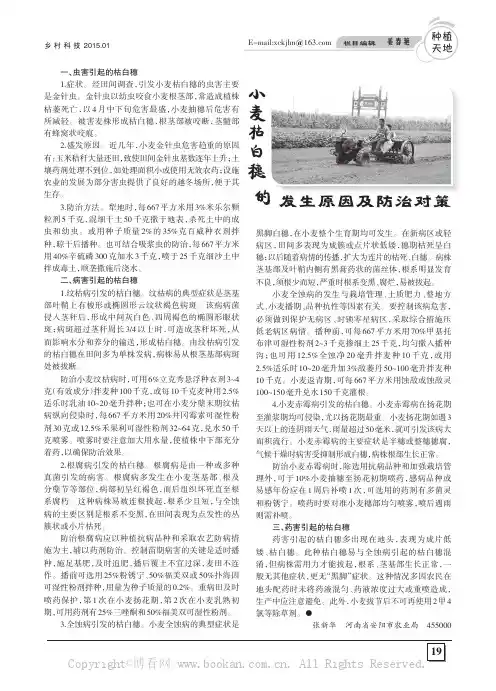 小麦枯白穗的发生原因及防治对策