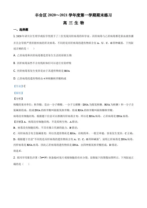 北京丰台区2020-2021年高三上学期期末生物试题(解析版)