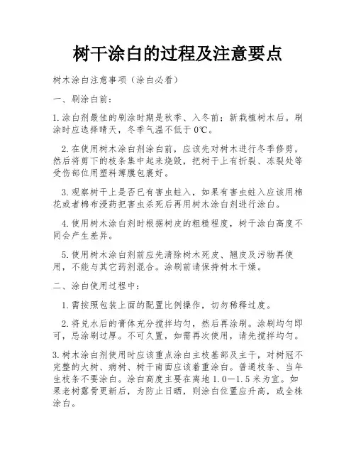 树干涂白的过程及注意要点