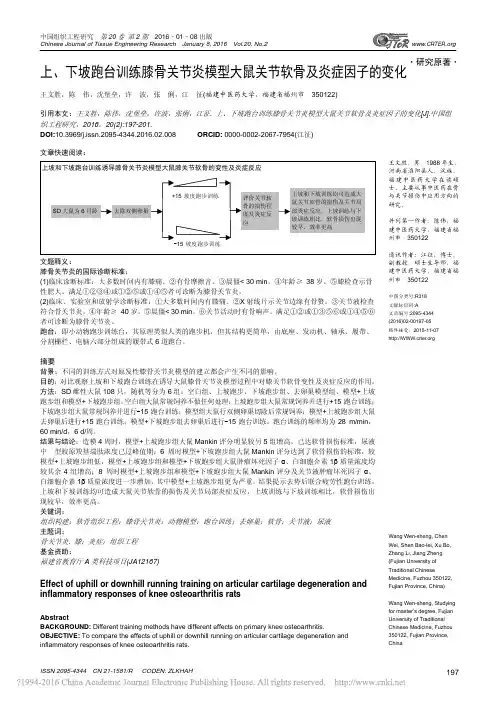 上_下坡跑台训练膝骨关节炎模型大鼠关节软骨及炎症因子的变化_王文胜