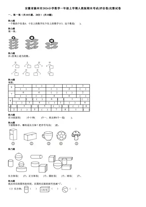 安徽省滁州市2024小学数学一年级上学期人教版期末考试(评估卷)完整试卷