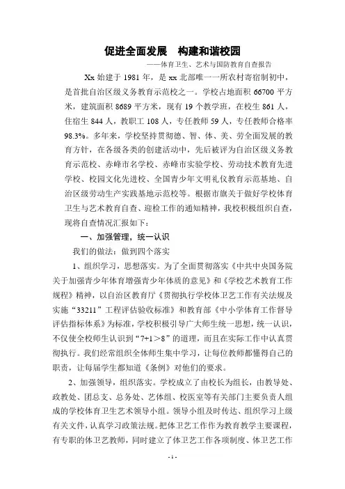 体卫艺工作自查报告