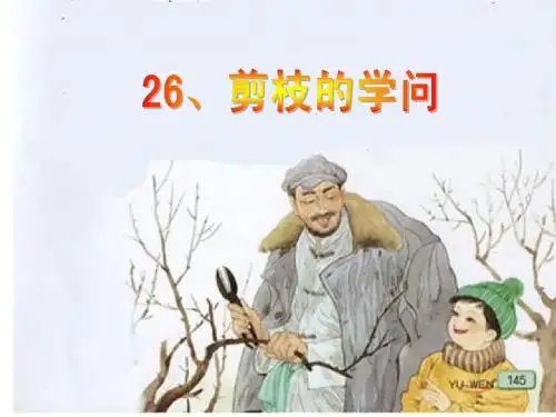 语文三下《剪枝的学问》课件1