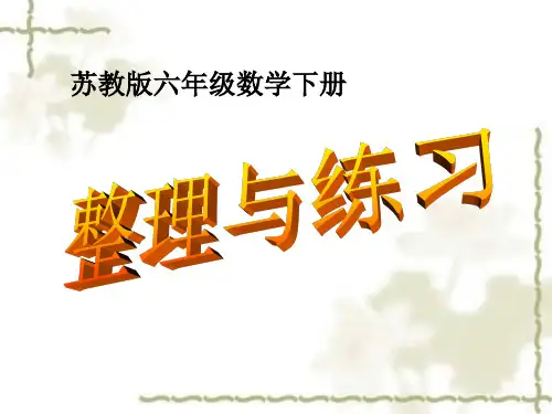 六年级数学下册课件-第二单元第八课时  整理与练习 (共22张PPT)苏教版