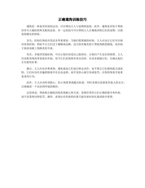 正确遛狗训练技巧